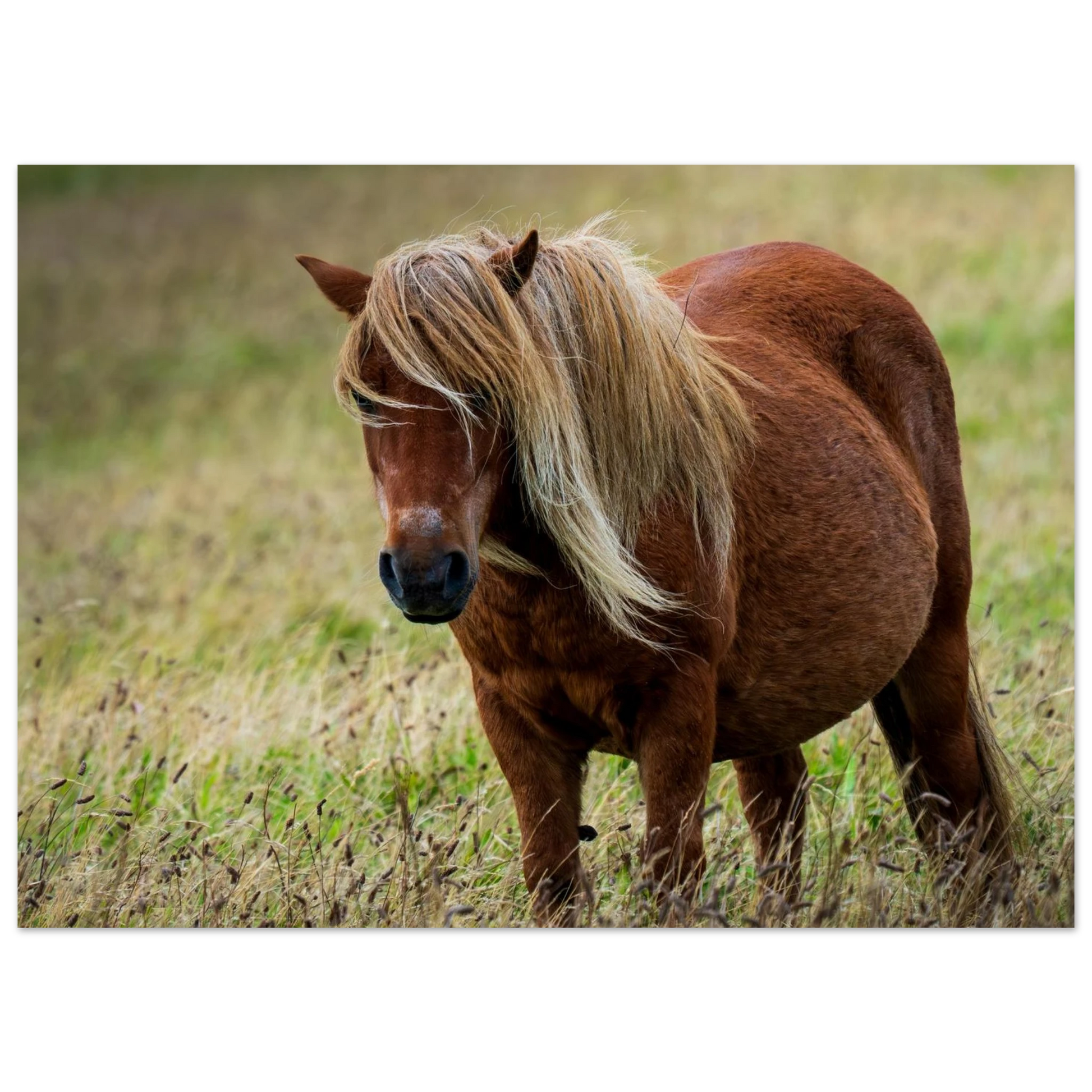 81f9b48a-1ff7-4bf4-8810-a8f8d88cae22