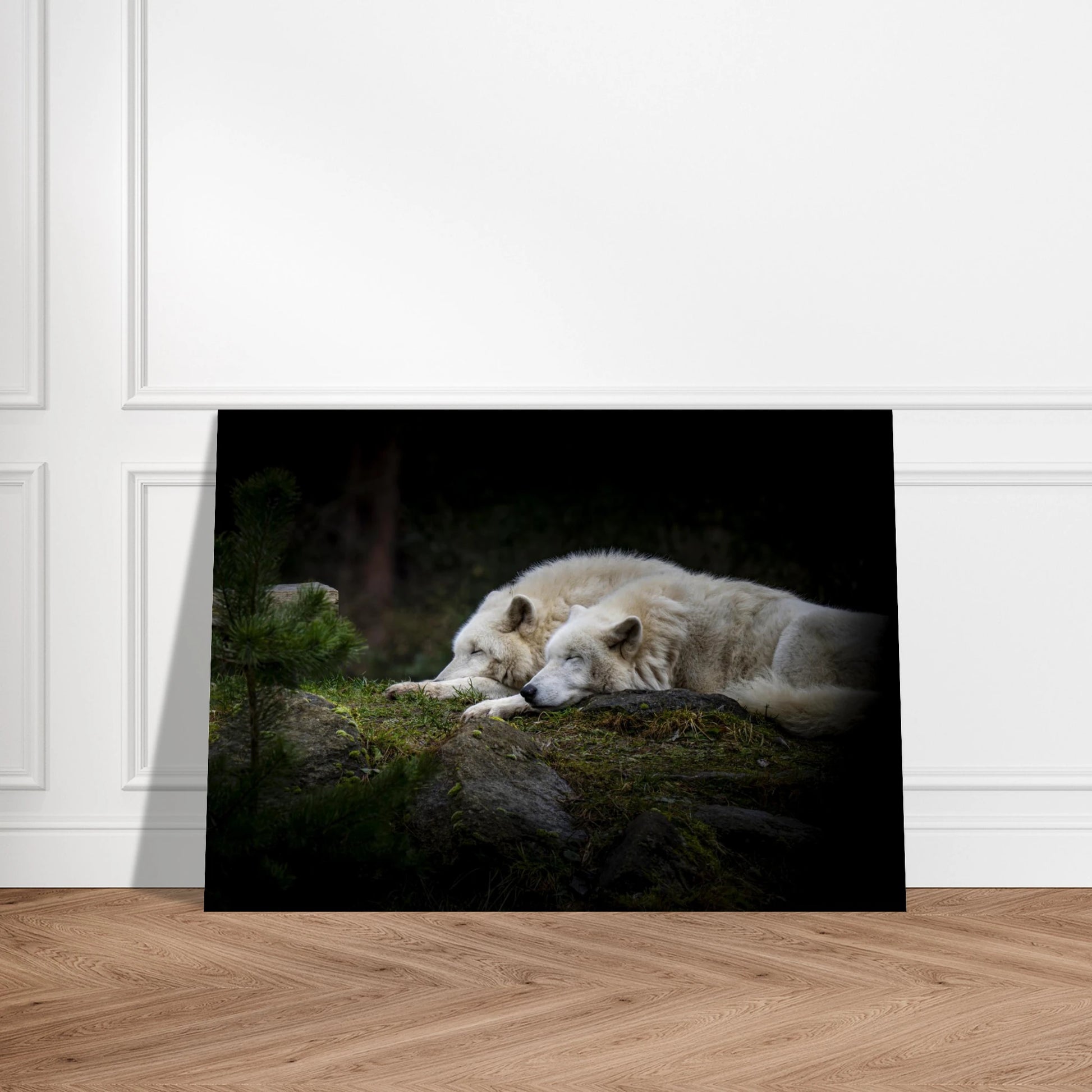 8420294b-2a61-46d6-b185-b4239f22b173