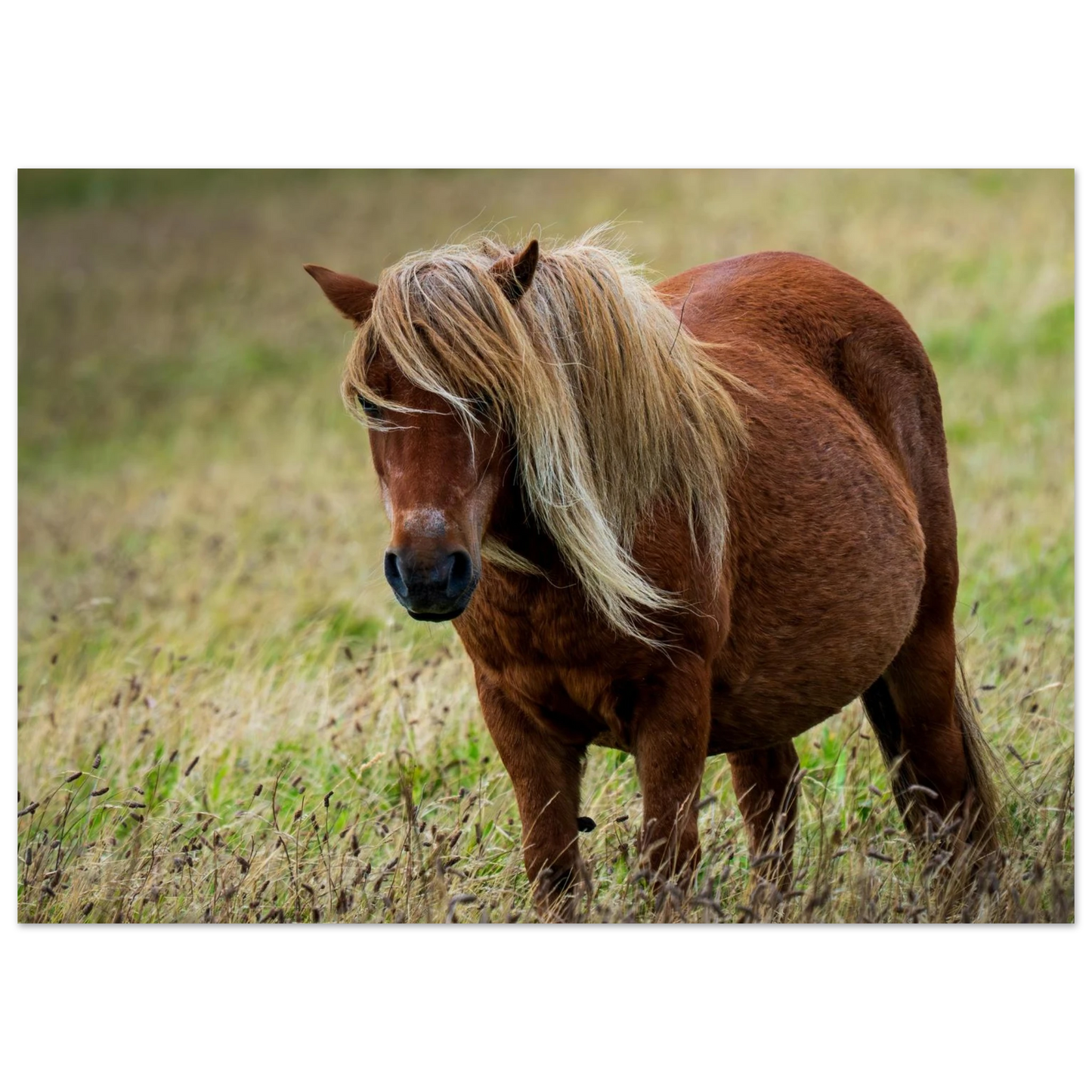 8a134aa0-6192-434d-894b-873382e65fd6