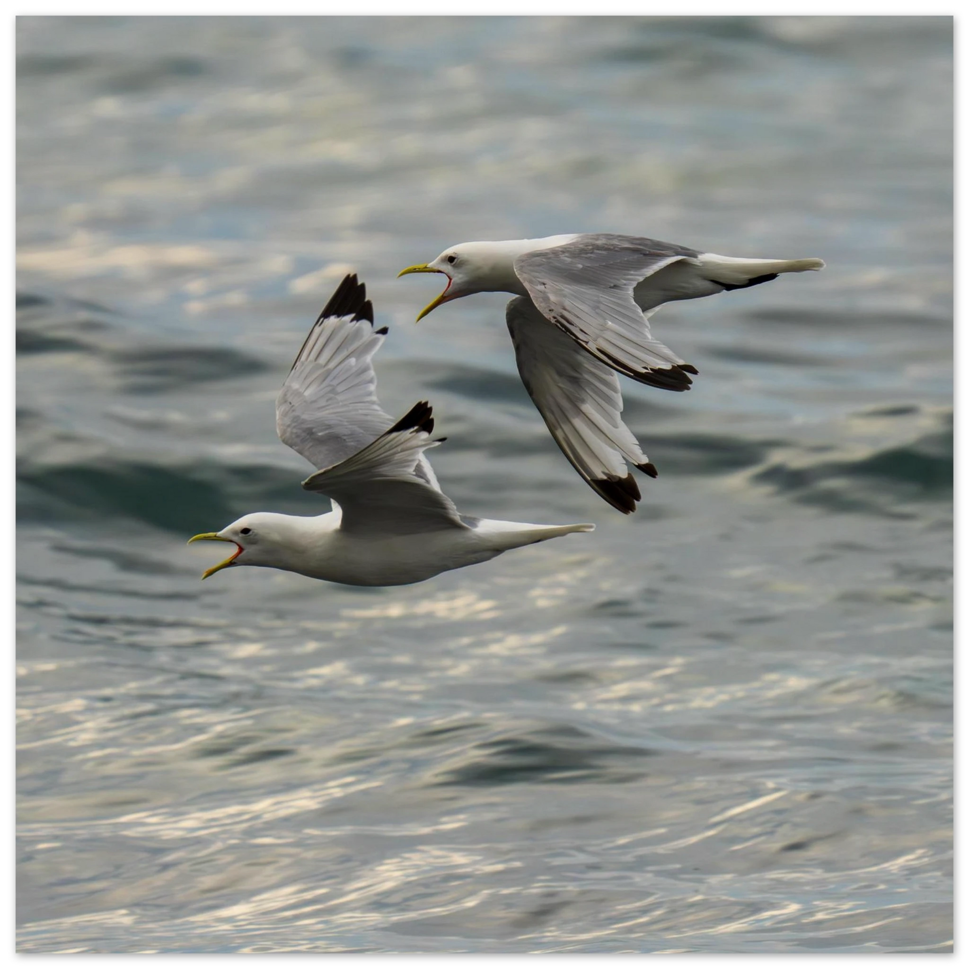 917a96be-a6ed-4c41-bea2-ce869beac82b