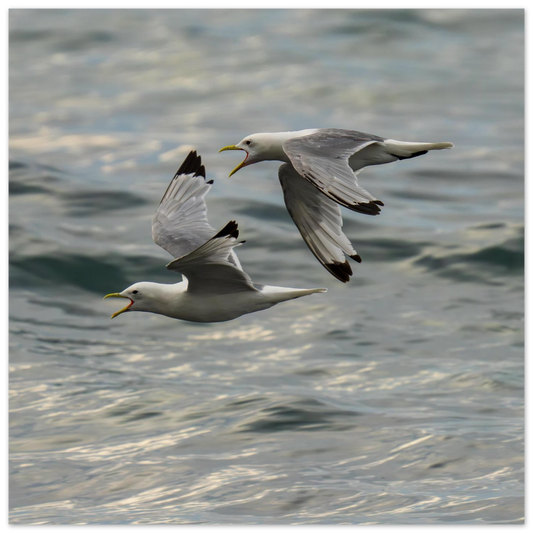 917a96be-a6ed-4c41-bea2-ce869beac82b