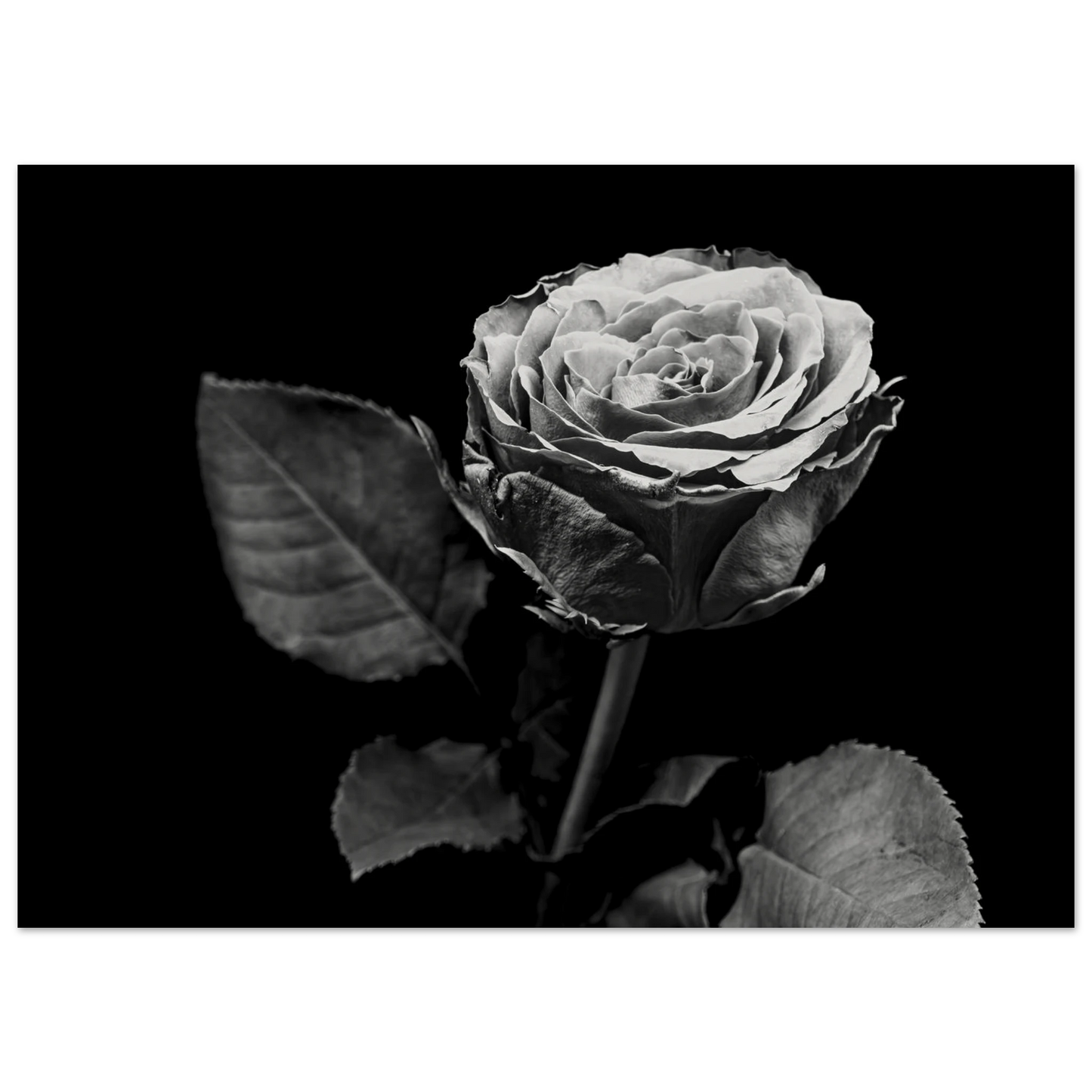 9f677ccf-d68e-4903-8f16-f436e74969a5