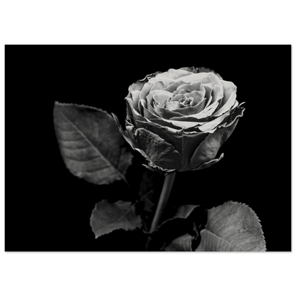 9f677ccf-d68e-4903-8f16-f436e74969a5