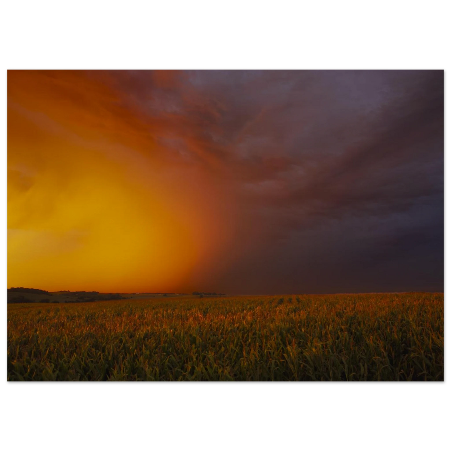 Between Fire and Storm fine art landscape print displayed in a neutral, softly styled interior — atmospheric wall art by Joseph Hubbard