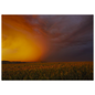 Between Fire and Storm fine art landscape print displayed in a neutral, softly styled interior — atmospheric wall art by Joseph Hubbard