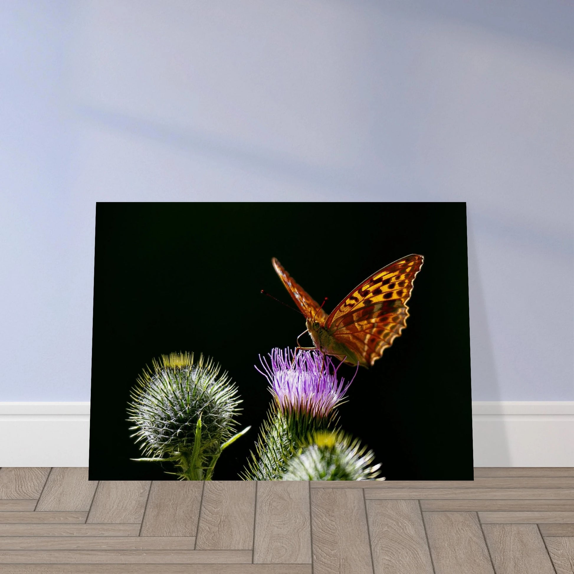 Golden Wings on Thistle fine art macro print leaning against a clean wall on the floor — intimate nature wall art by Joseph Hubbard