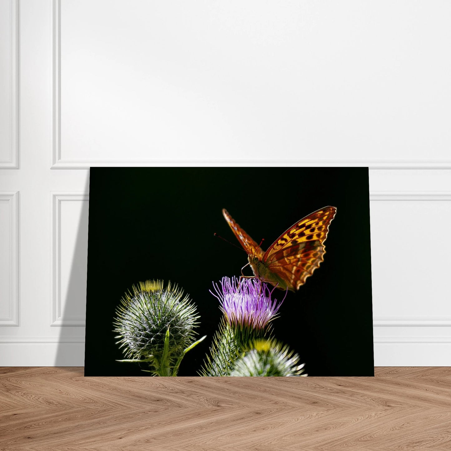 Golden Wings on Thistle fine art macro print resting against a wall on the floor — elegant nature wall art by Joseph Hubbard