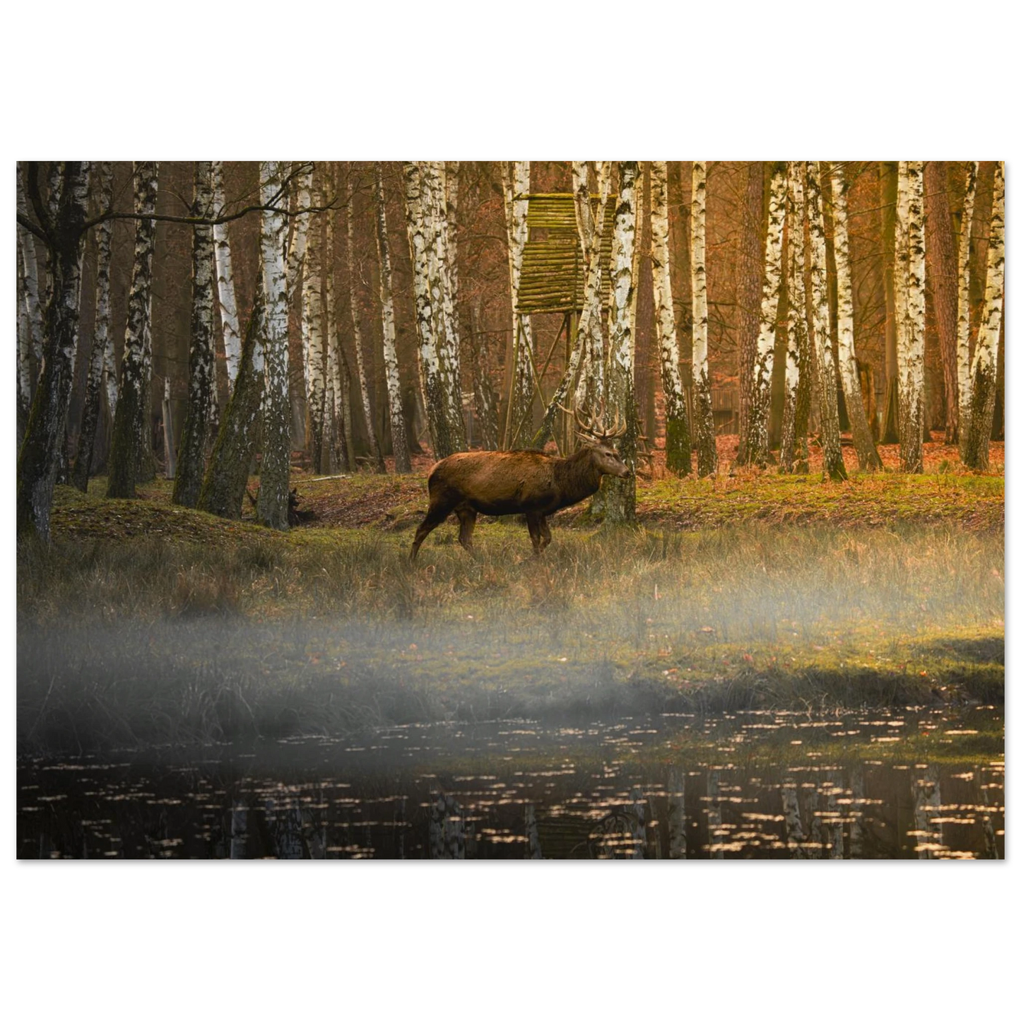 Silent Steps in the Autumn Mist fine art print presented on a floating clean background — calm landscape art by Joseph Hubbard