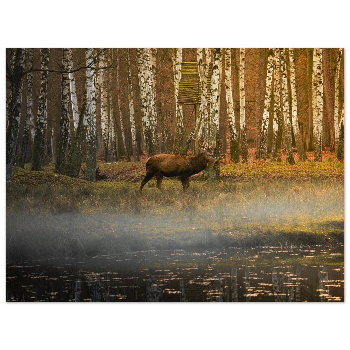 Silent Steps in the Autumn Mist fine art print displayed in a minimal background mockup — atmospheric artwork by Joseph Hubbard