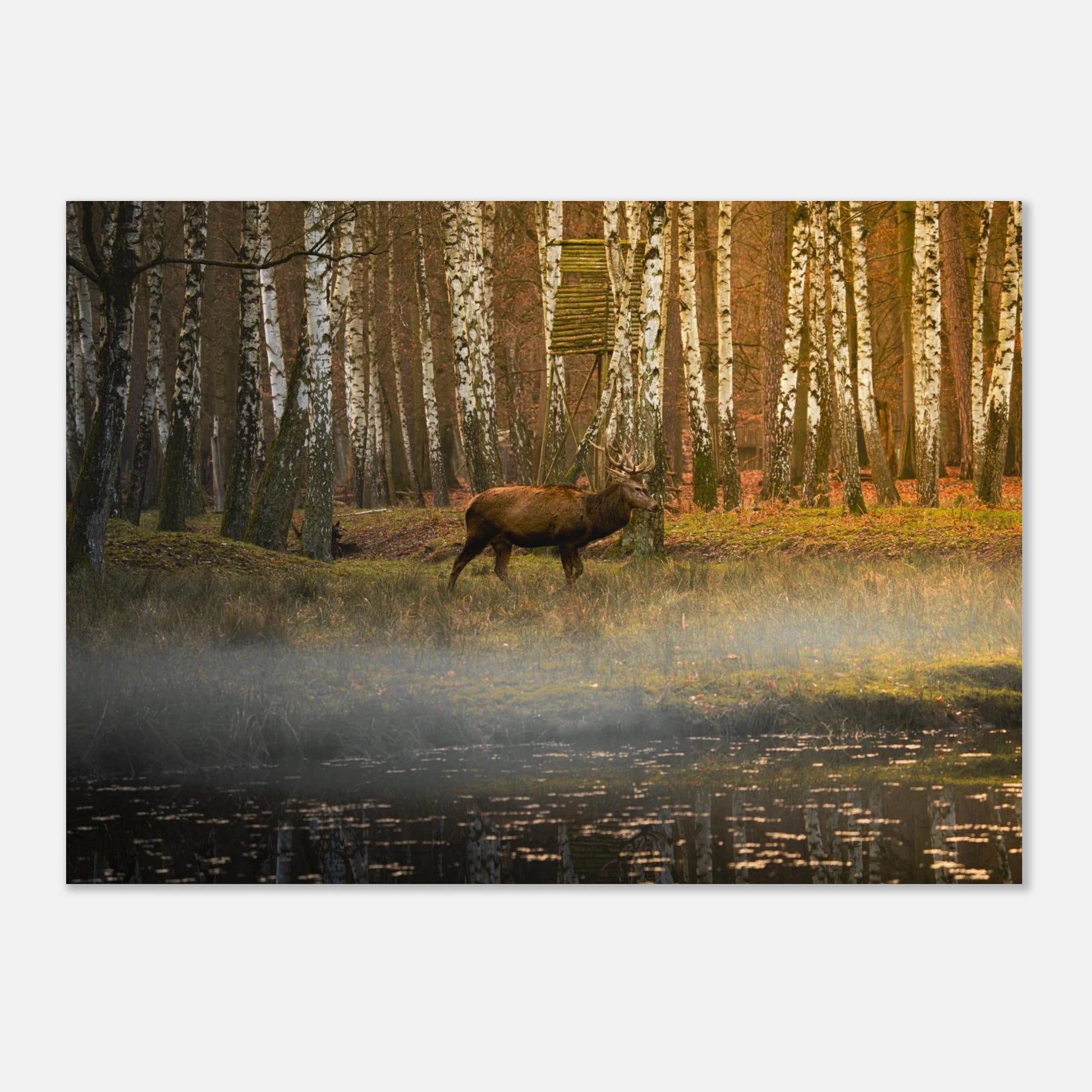 Silent Steps in the Autumn Mist fine art print on a clean studio background — atmospheric landscape artwork by Joseph Hubbard