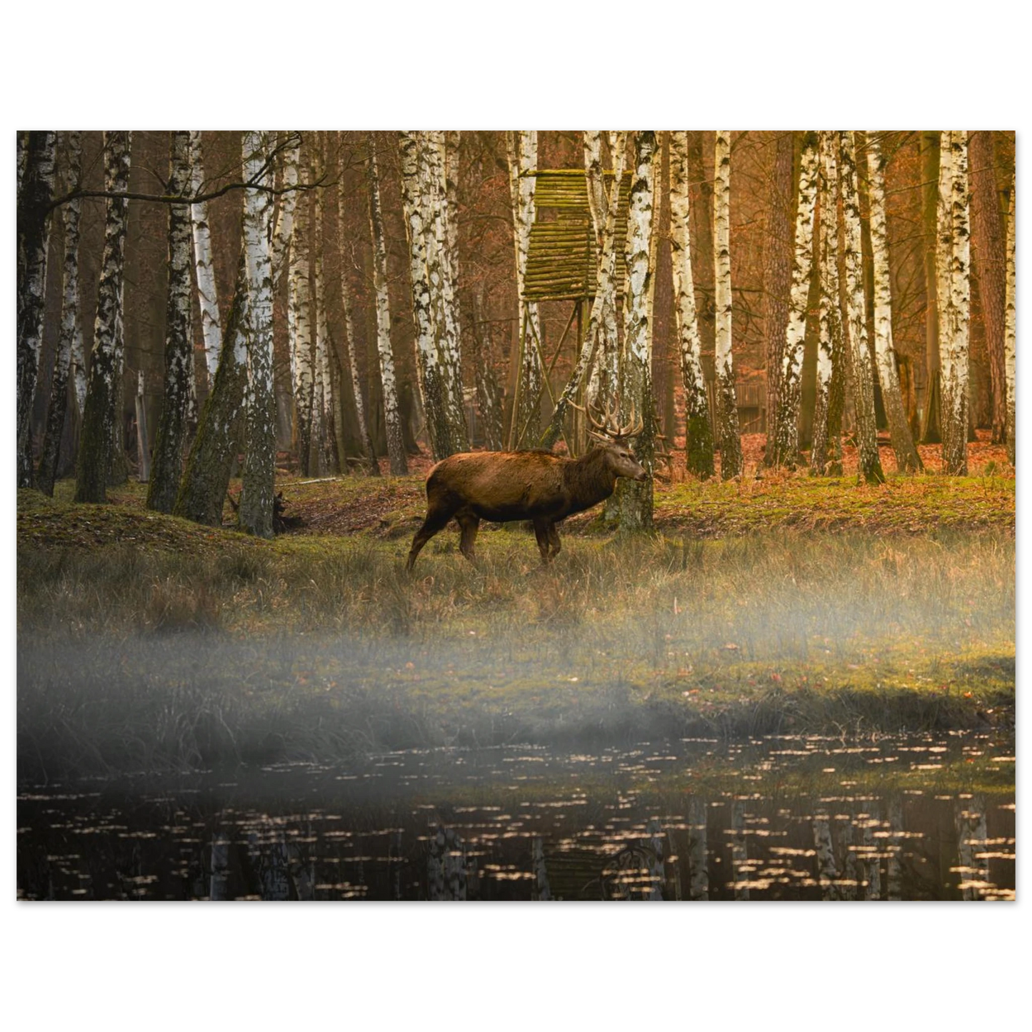 Silent Steps in the Autumn Mist fine art print shown with a soft studio shadow — premium landscape print by Joseph Hubbard