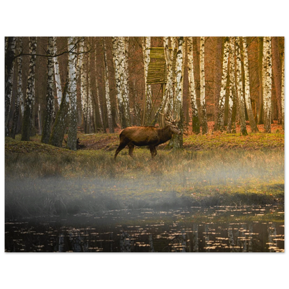 Silent Steps in the Autumn Mist fine art print shown with a soft studio shadow — premium landscape print by Joseph Hubbard