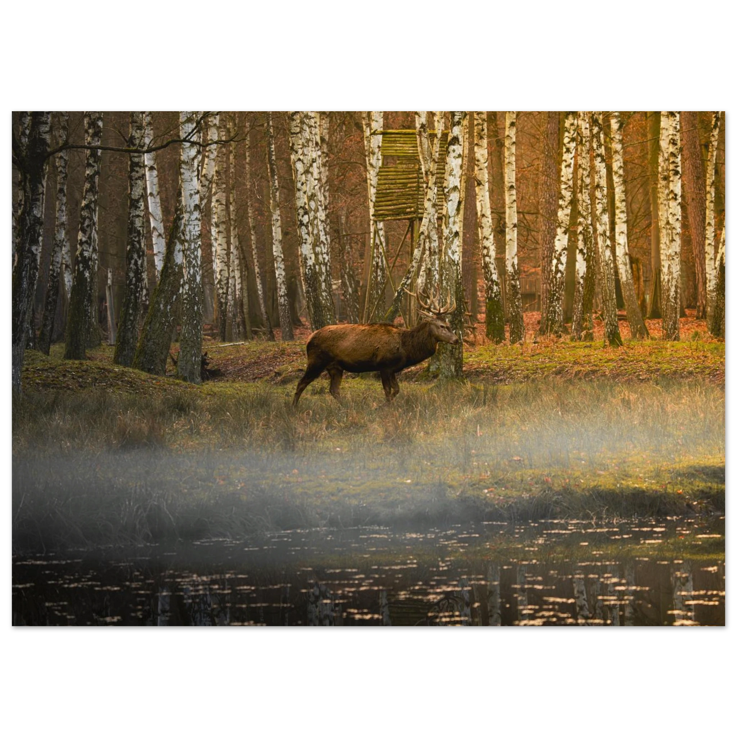 Silent Steps in the Autumn Mist fine art print shown in a simple studio mockup — refined nature artwork by Joseph Hubbard