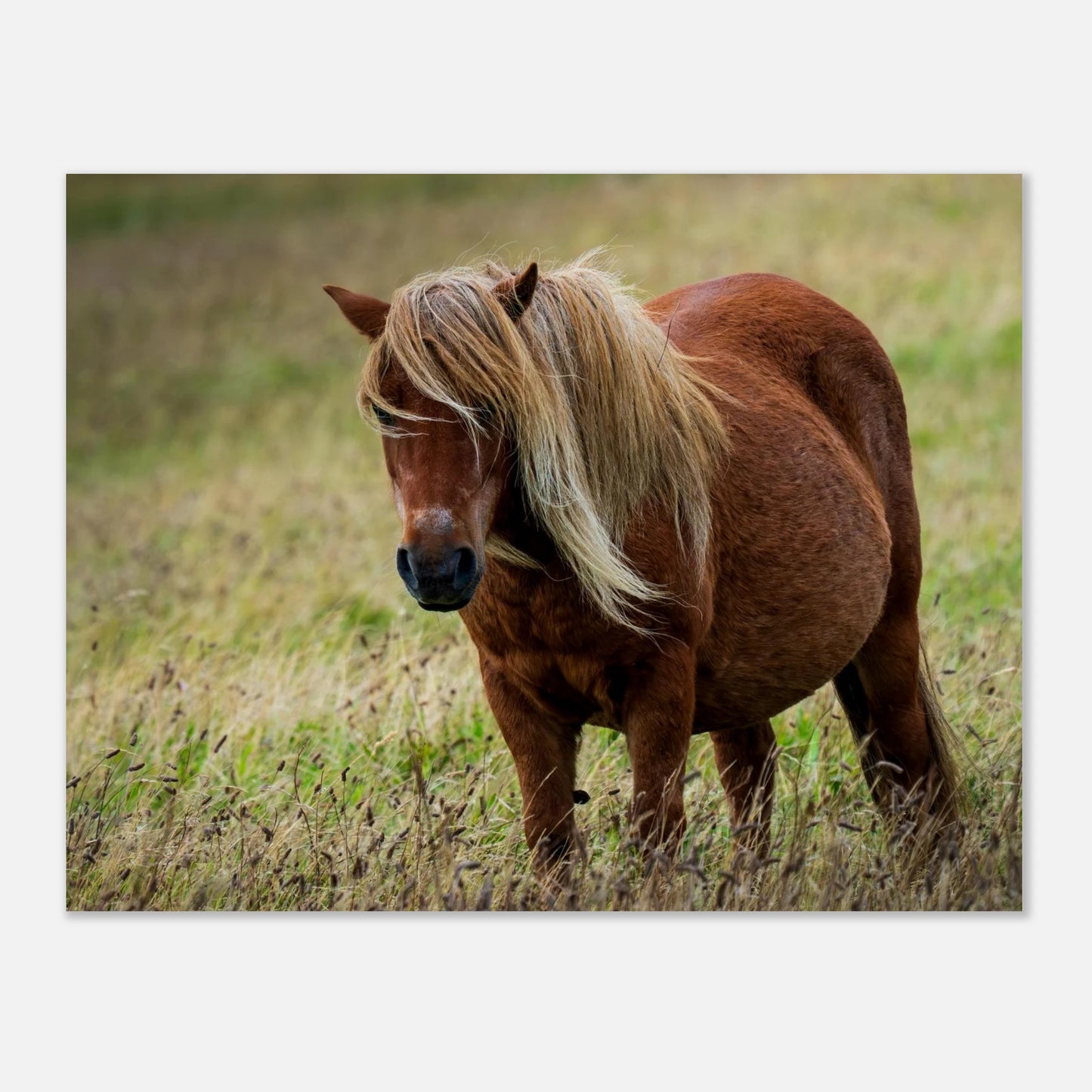 a310ca70-fdec-46ab-87e9-1733a6b1b65f