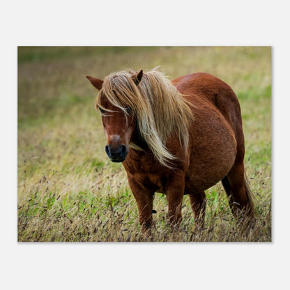 a310ca70-fdec-46ab-87e9-1733a6b1b65f