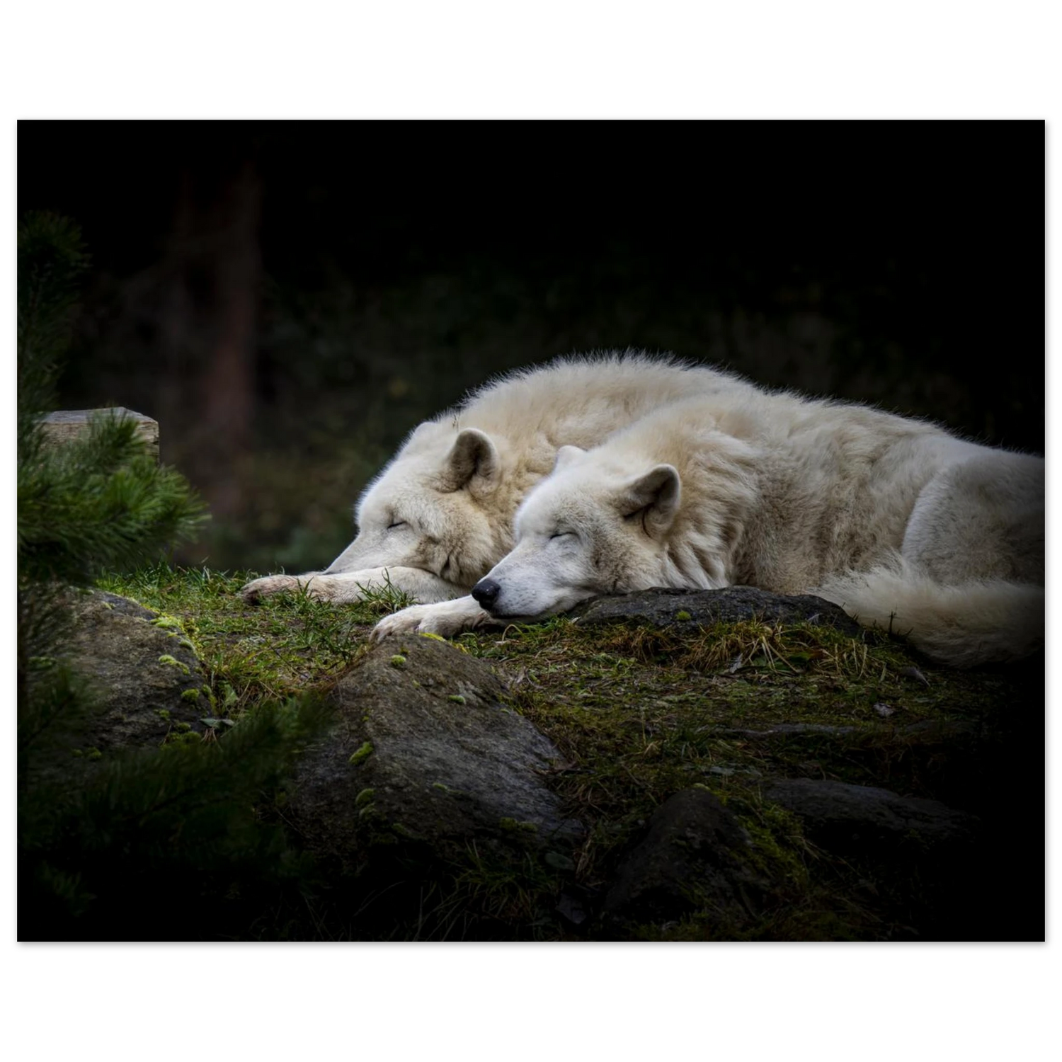 b175564d-8aae-4b4e-b535-ba798c5d02b7