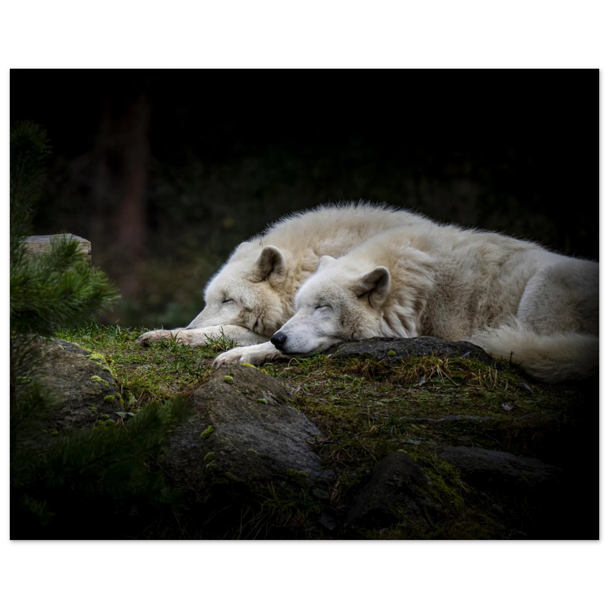 b175564d-8aae-4b4e-b535-ba798c5d02b7