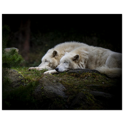 b175564d-8aae-4b4e-b535-ba798c5d02b7