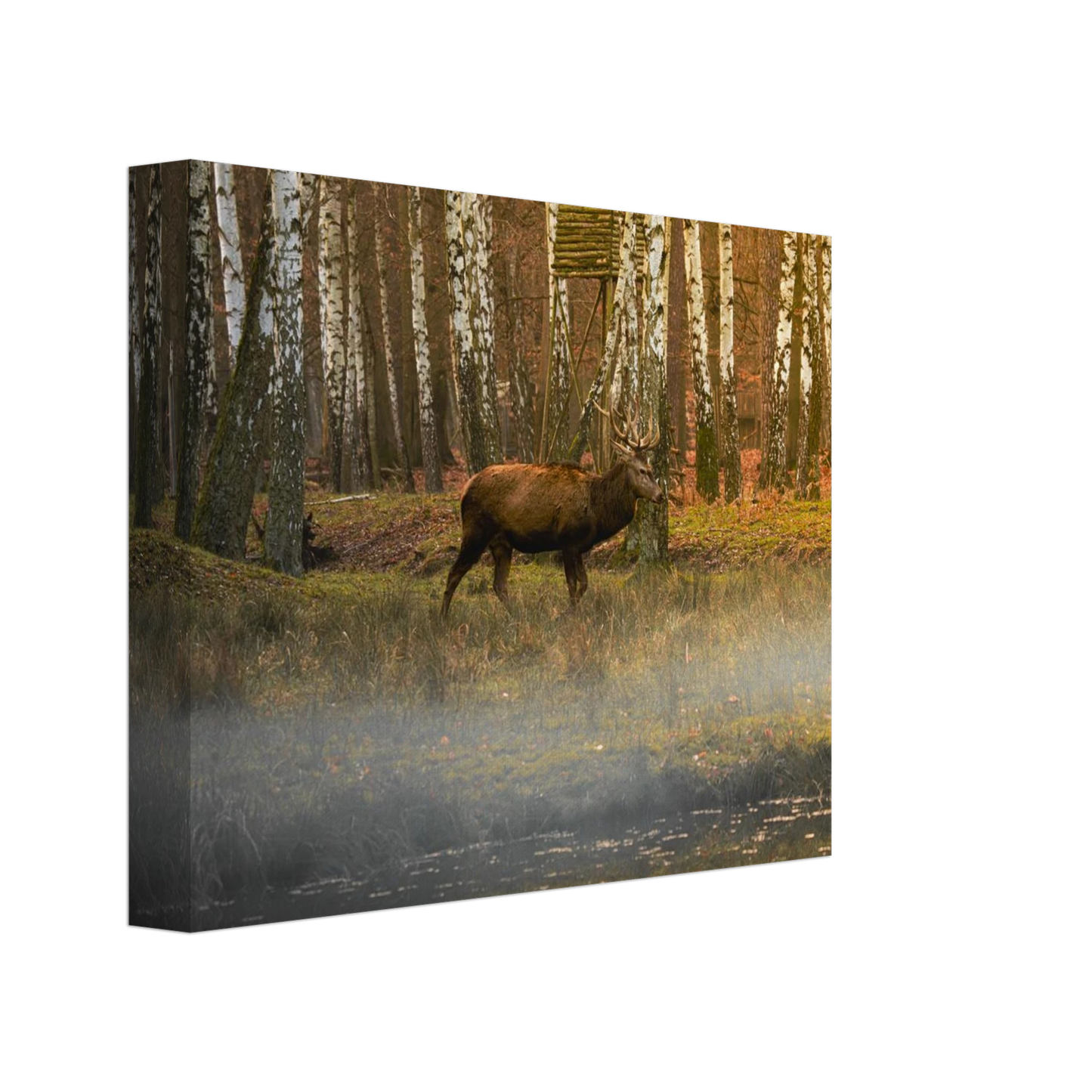 b4f4fde8-4651-4d01-b1c8-557cdc434bc7