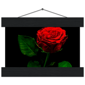 Hubbard Art by Joseph Hubbard Vibrant Red Rose on Black — Fine Art Floral Photography Print Museum-Quality Matte Paper Poster with Hanger Black wall hanger 13x18 cm 5x7″