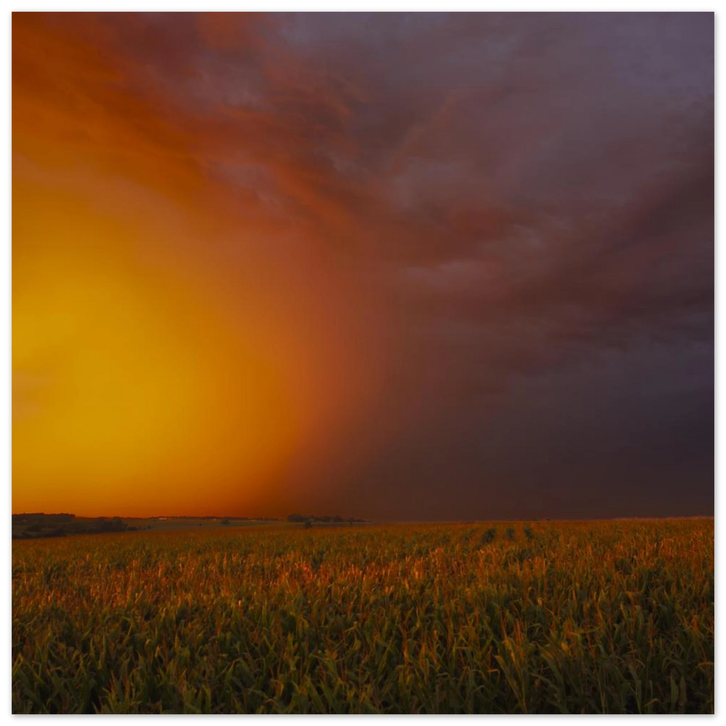 bf38243d-3982-4941-b0eb-378d1d81b44c