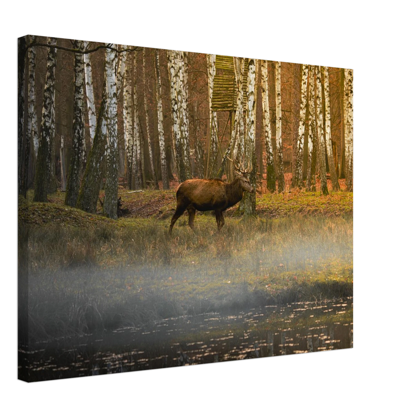 c5eff0e4-9185-4bba-a51a-09fd39bd6d46