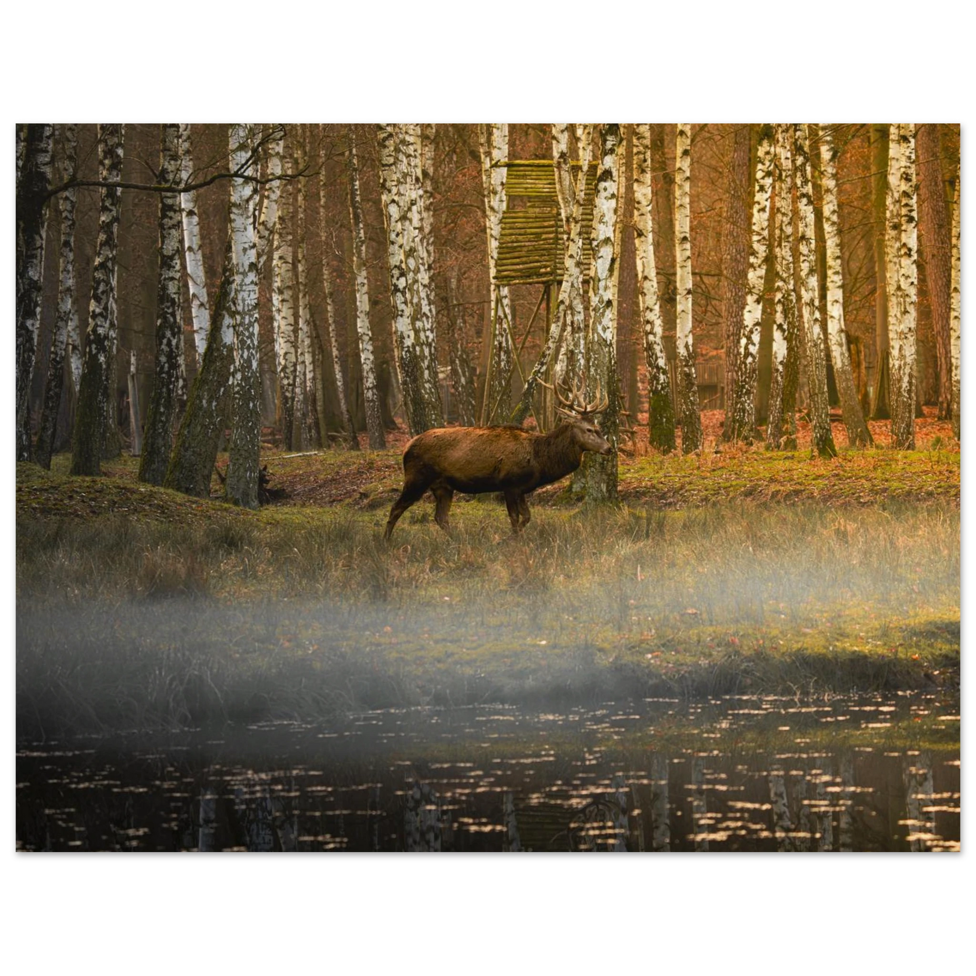 cfe578ac-b204-4834-aba6-e0db179389b3