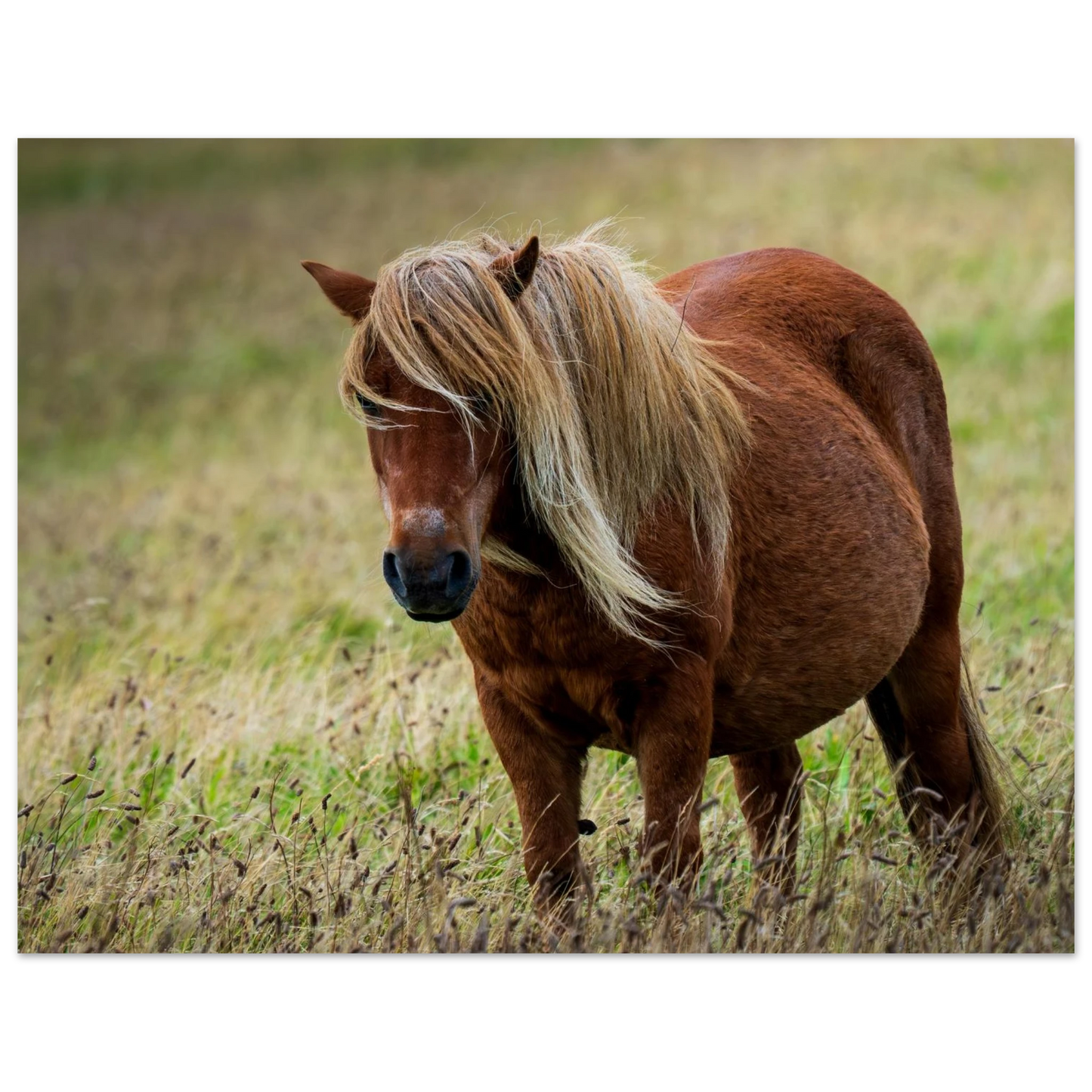 d0e6d1d3-3944-4f9c-9dee-50e3254a3d94