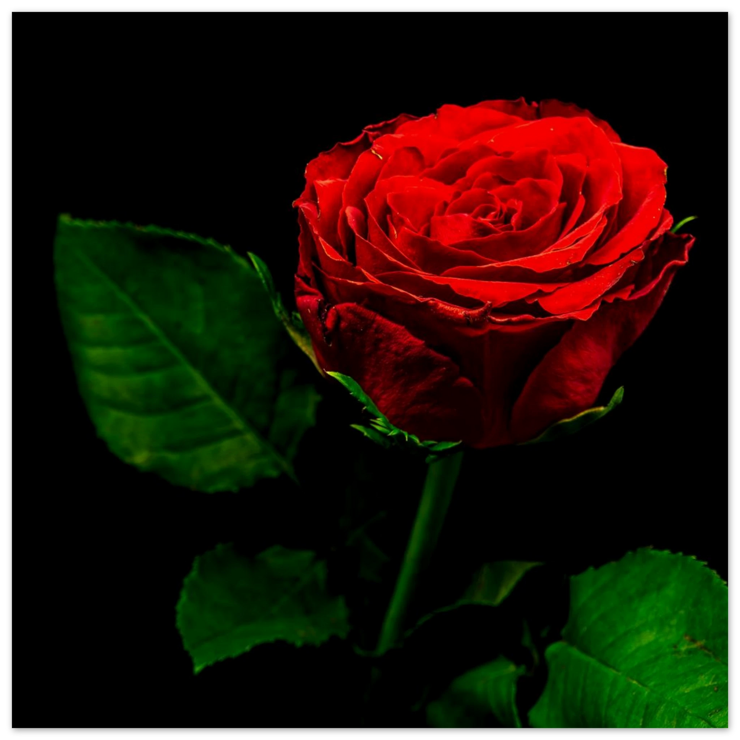 d3754d09-1e91-4db7-8e93-d1f034aa6b3e