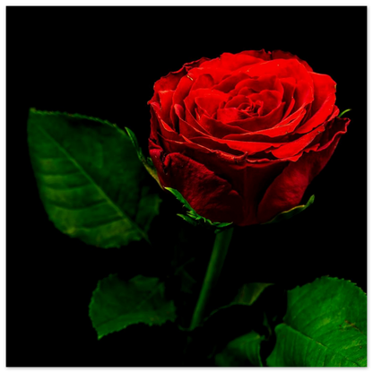 d3754d09-1e91-4db7-8e93-d1f034aa6b3e