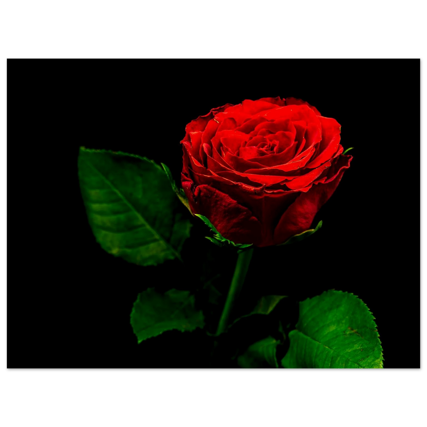 d51fe263-90f0-477f-91d3-f89be531d358