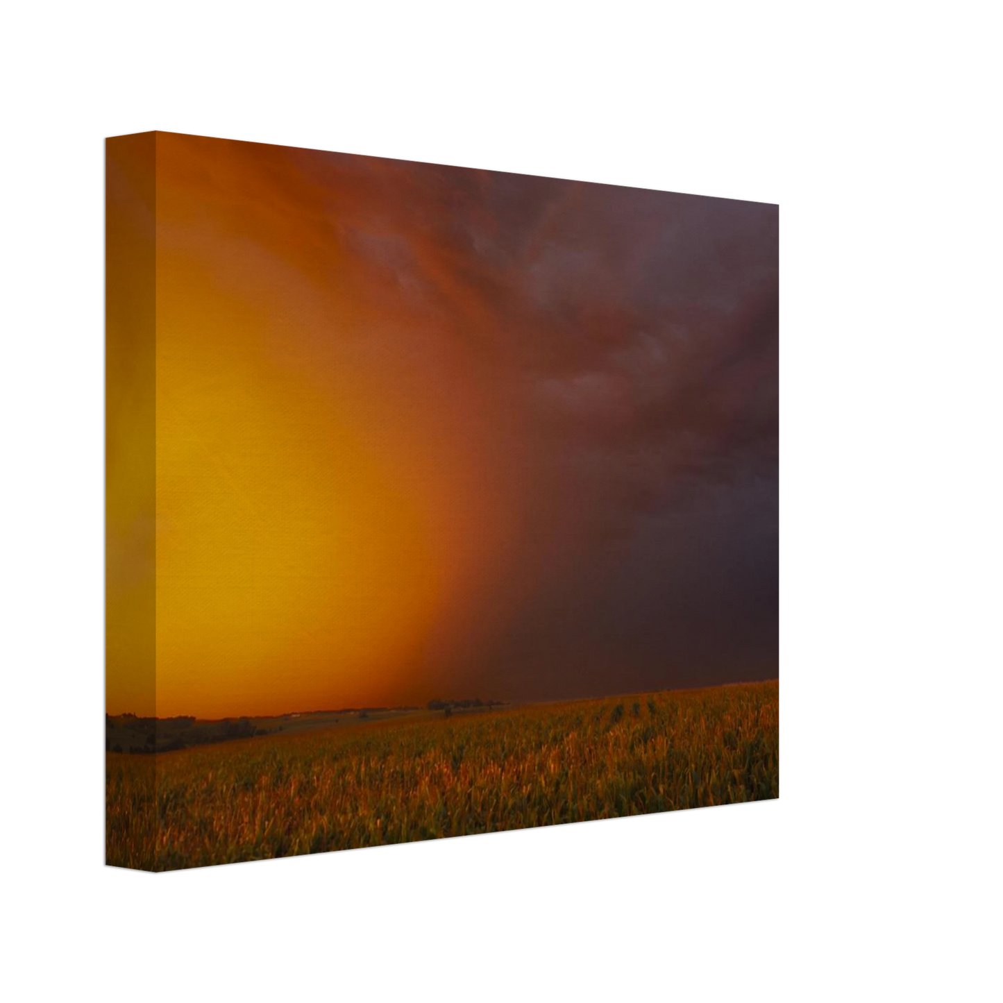 da681171-aef1-4c6b-9d5a-35d60442a91f