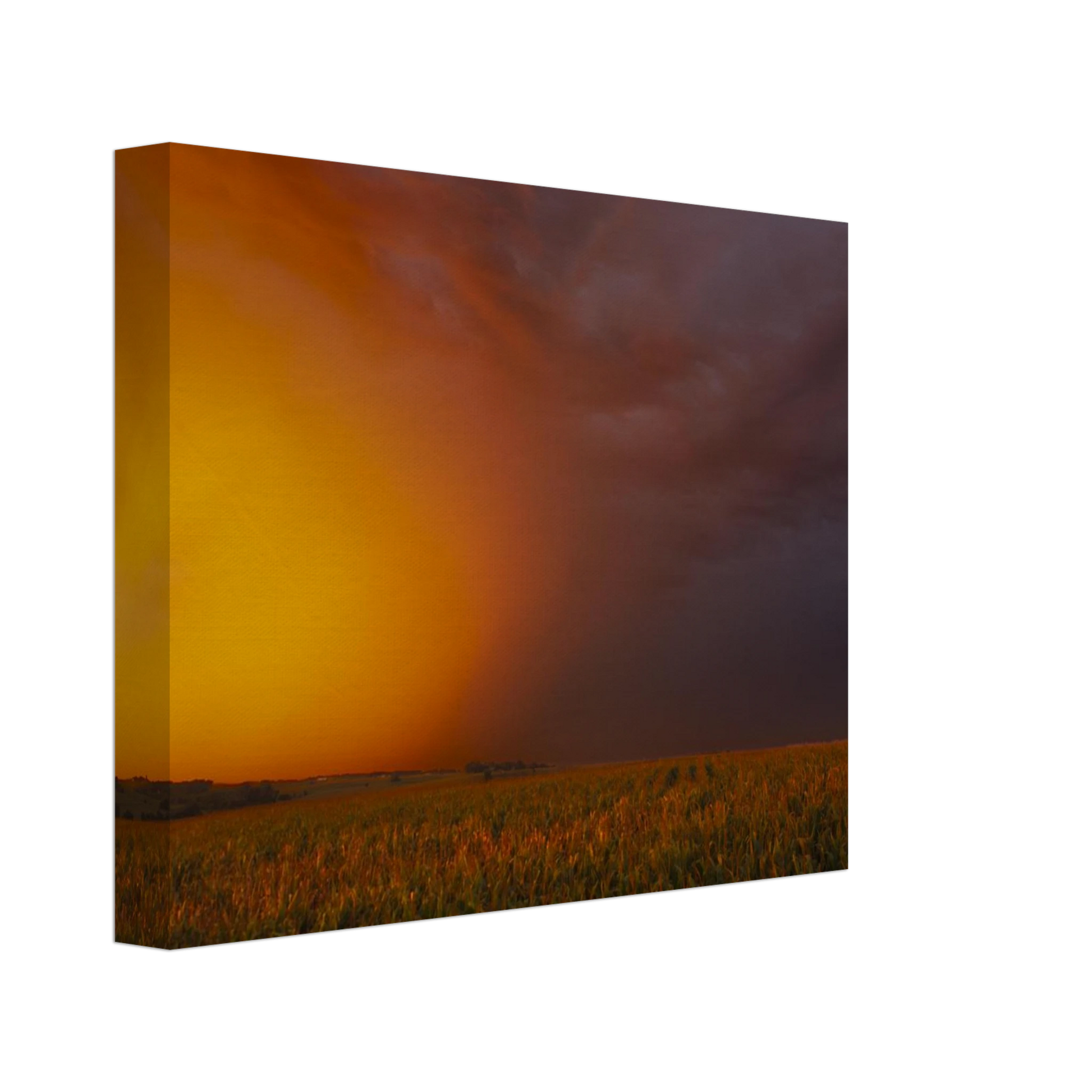 da681171-aef1-4c6b-9d5a-35d60442a91f