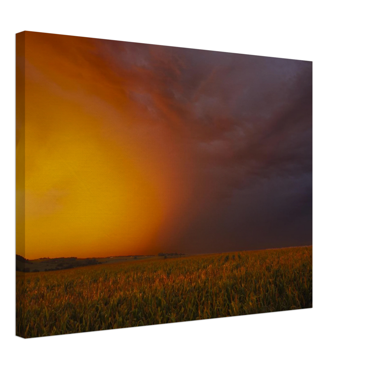 df3d2802-8e34-4cca-be78-f5ffccb1c0ab