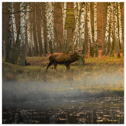 e08a7b94-d857-40cc-9bc2-9f37bf653e41