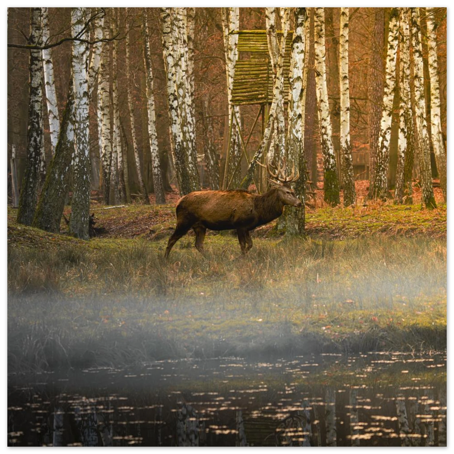 e414117b-d68d-4d13-91bb-142f70ce87f3