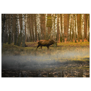 e57d8b01-c6fc-4c3f-aca9-22e7fa15dd54