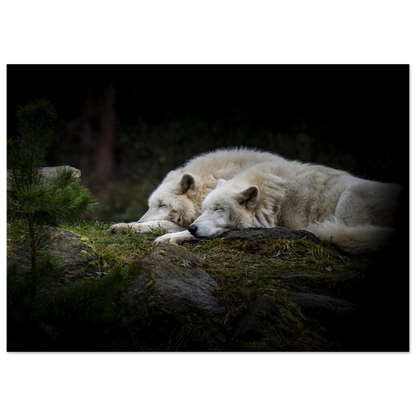 e6bec7f4-9f14-4fb2-b491-5d902d441950