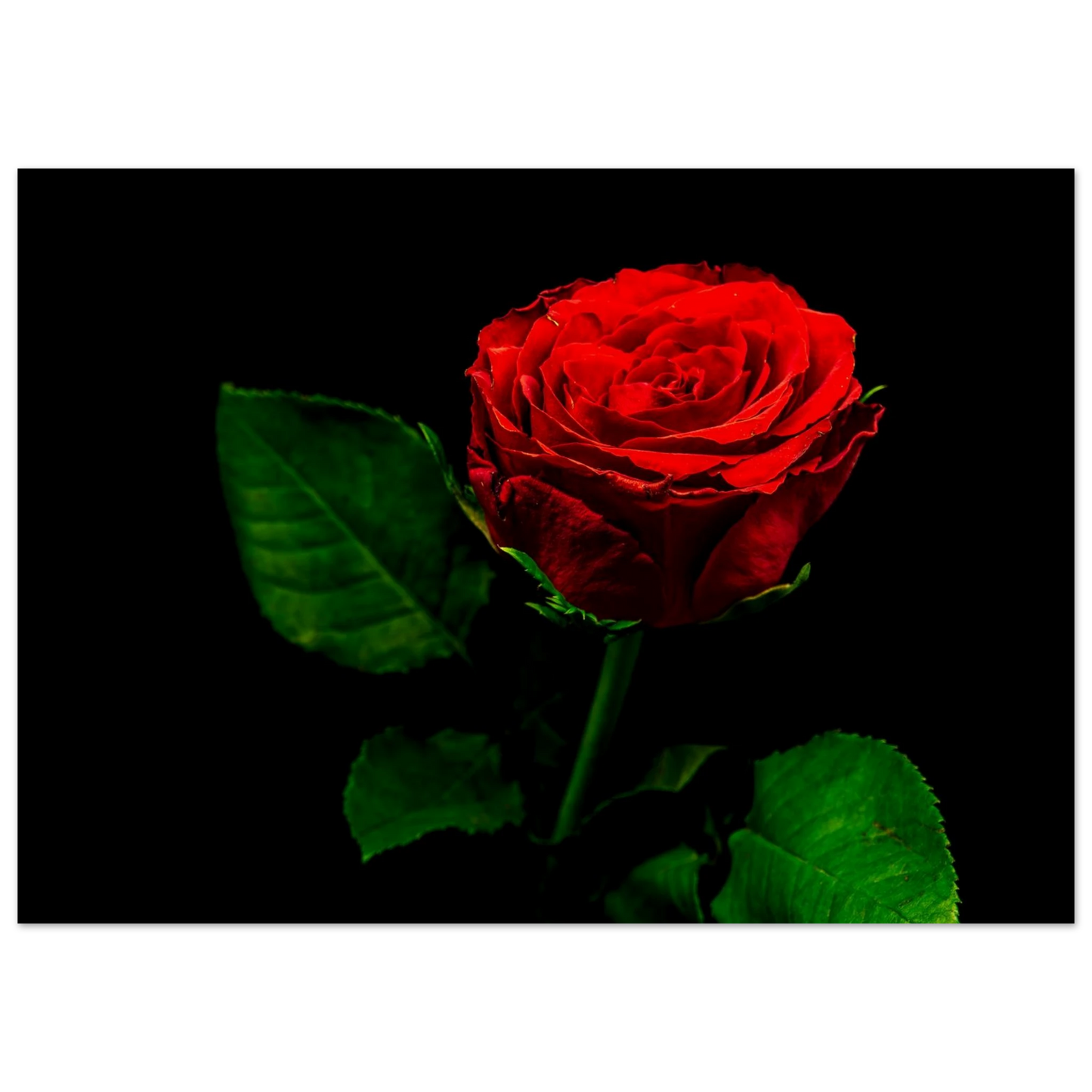 e8653b1e-8907-4070-85da-173a3a3d2034