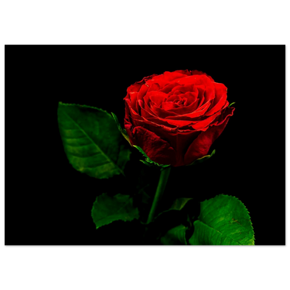 e8653b1e-8907-4070-85da-173a3a3d2034