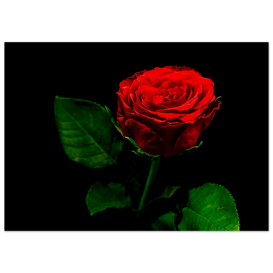 e8653b1e-8907-4070-85da-173a3a3d2034