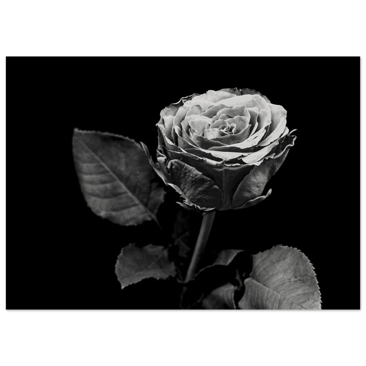 e9d38630-a2c2-4d9a-84c9-fd1f37f21c73