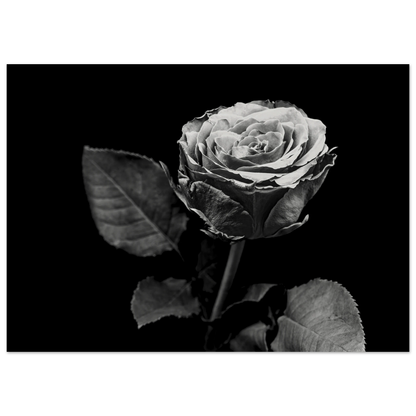 e9d38630-a2c2-4d9a-84c9-fd1f37f21c73