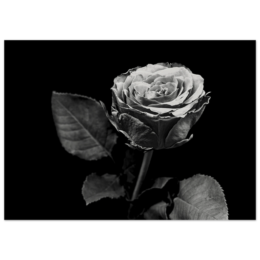 e9d38630-a2c2-4d9a-84c9-fd1f37f21c73