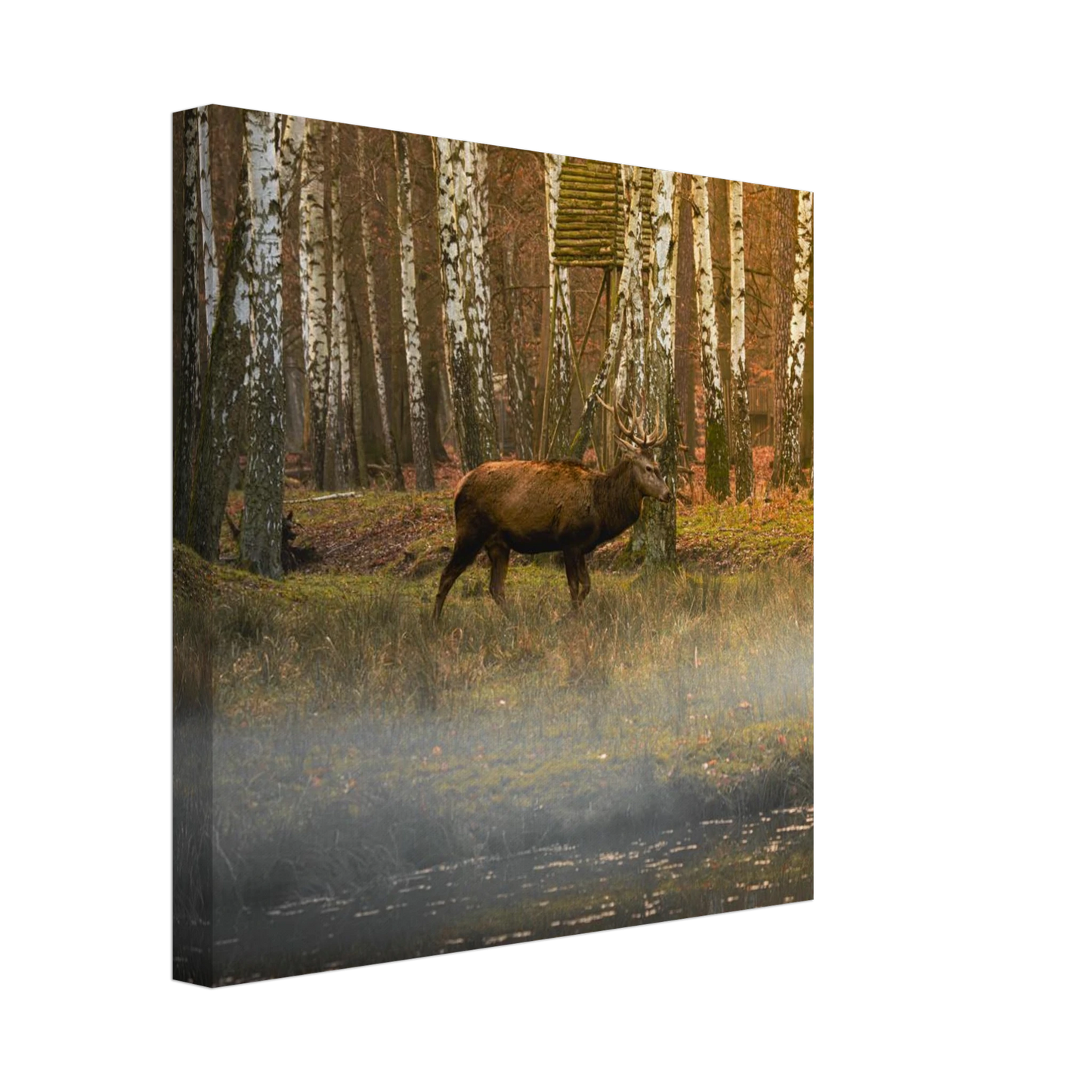 eaf05302-90d2-4a0a-a8b6-20a8def3a0b5