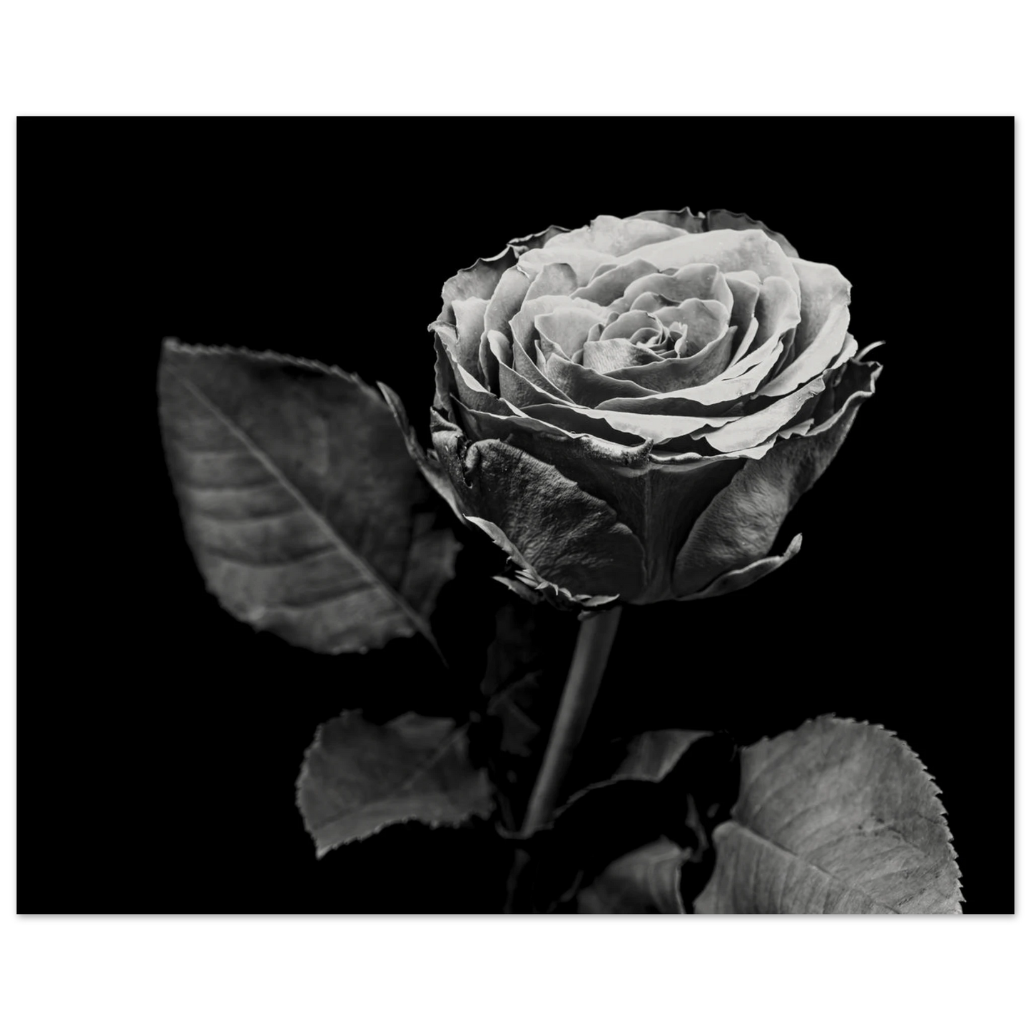 f063eefe-d062-49b7-8527-0966577e4e91