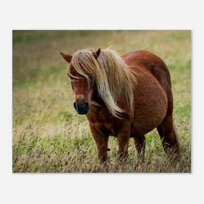 f8081422-c167-4258-a43a-7efc91b48710