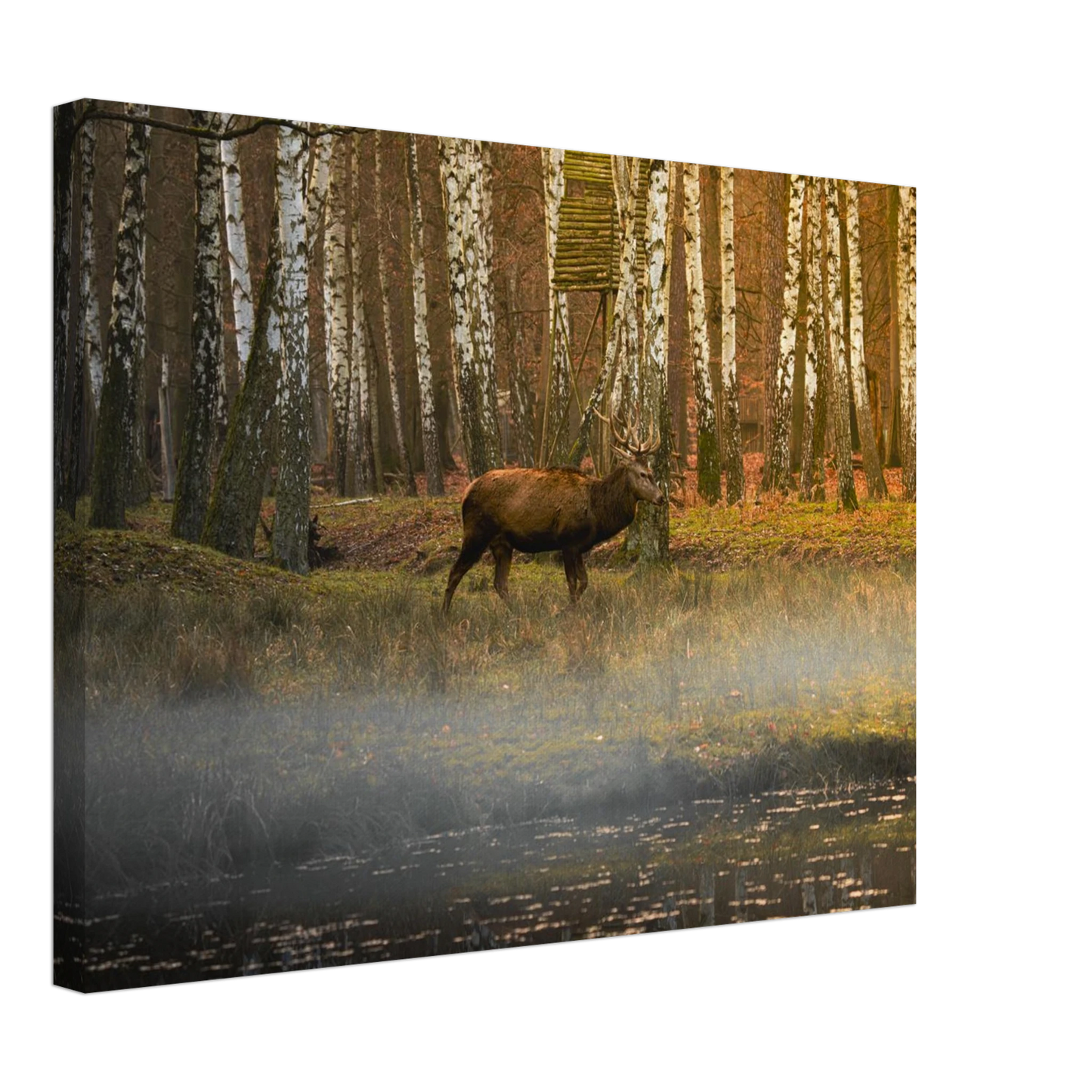 f9613be6-a1a3-4615-bec9-aec99f58d491