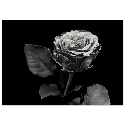 ff360750-ee2b-4ac3-9822-d4b8a2740ae9