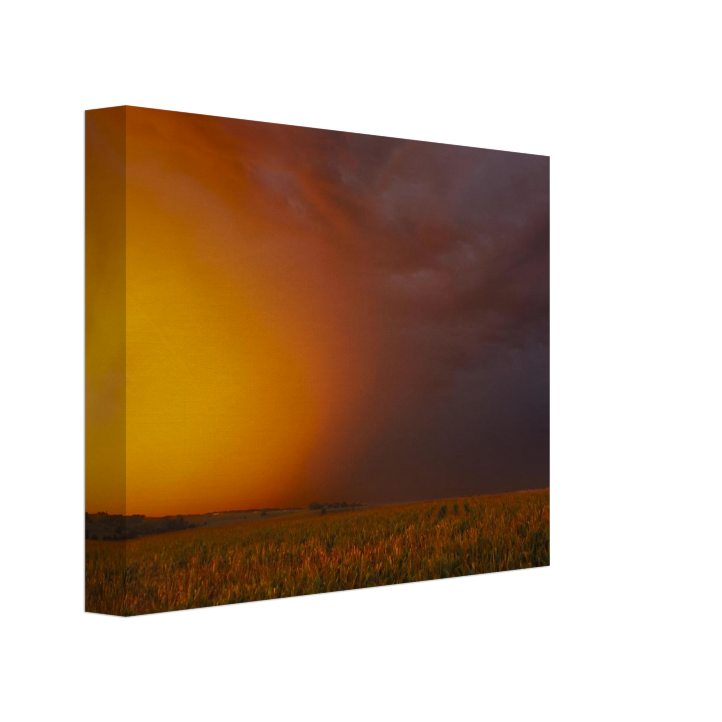 ffc602bf-b750-462a-b3b3-3ace32bf0597